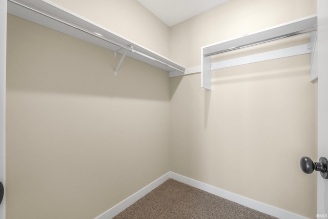 spacious closet featuring carpet flooring