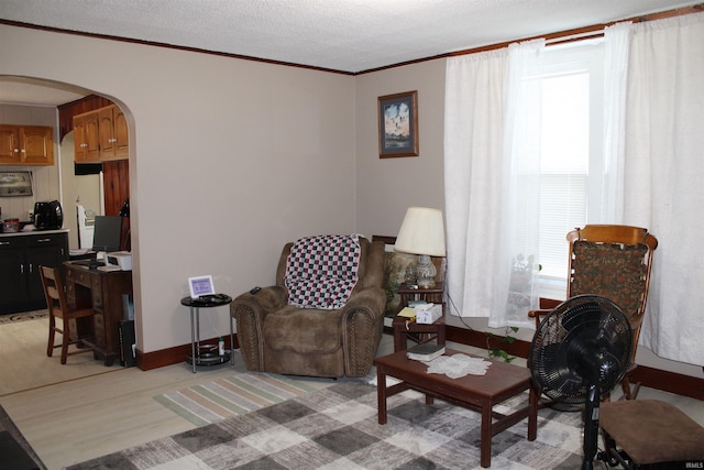 sitting room featuring a textured ceiling, light hardwood / wood-style floors, and crown molding