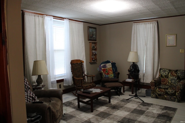 sitting room with a textured ceiling