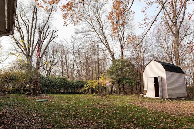 view of yard with a storage shed