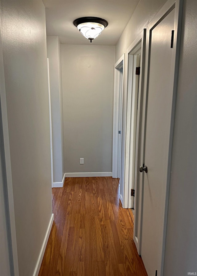 hall featuring wood-type flooring