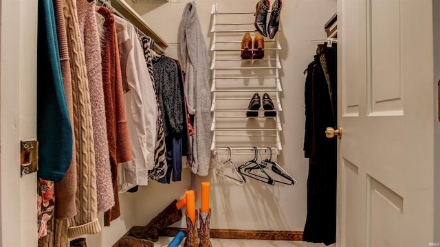 view of walk in closet