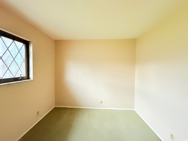 spare room with carpet floors