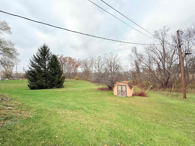 view of yard with a storage unit