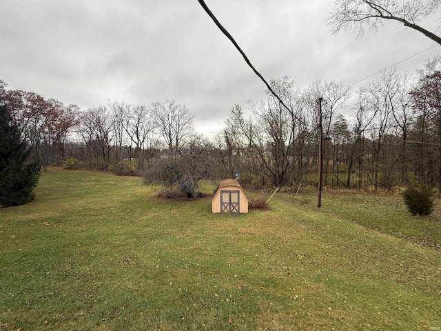 view of yard with a shed