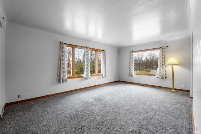 empty room featuring carpet and a wealth of natural light