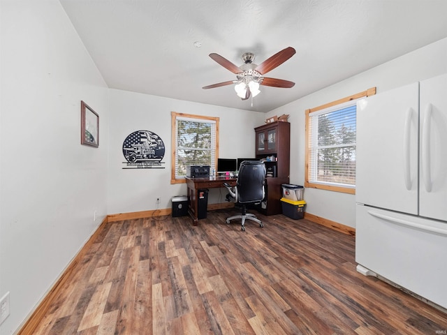 office space featuring dark hardwood / wood-style flooring and ceiling fan