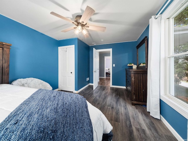 bedroom with multiple windows, dark hardwood / wood-style flooring, and ceiling fan