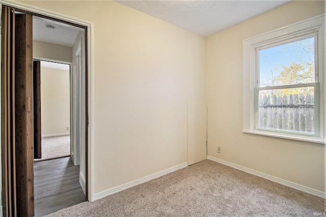 unfurnished room with carpet