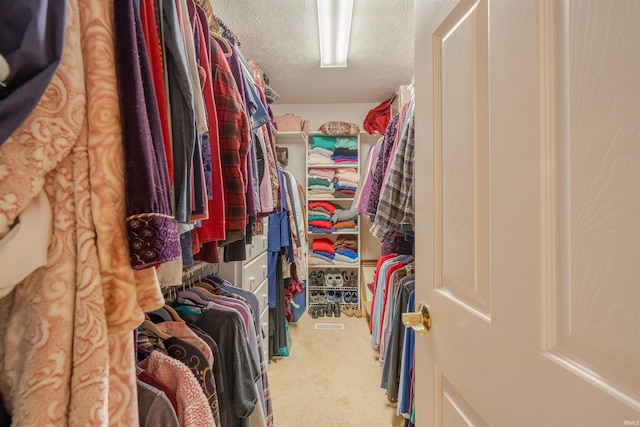 spacious closet with carpet flooring