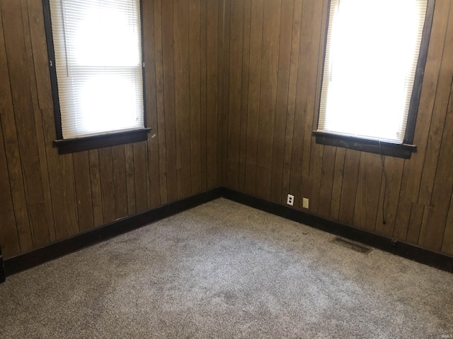 empty room with wood walls, carpet floors, and a healthy amount of sunlight