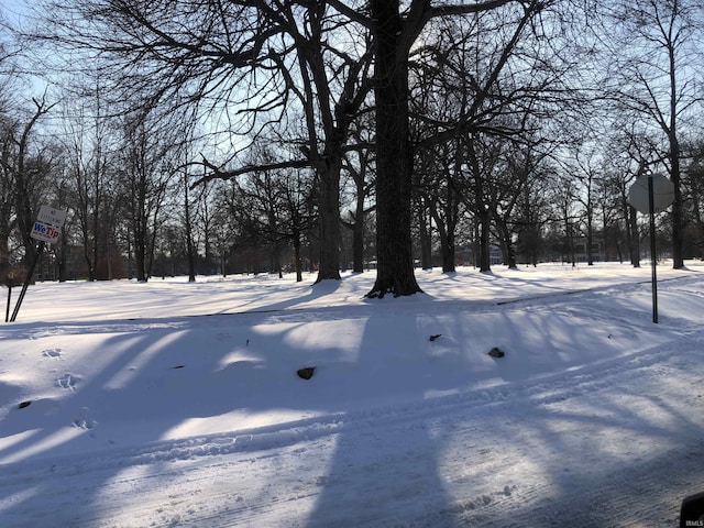 view of yard covered in snow