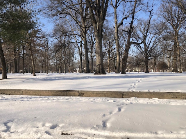 view of snowy yard