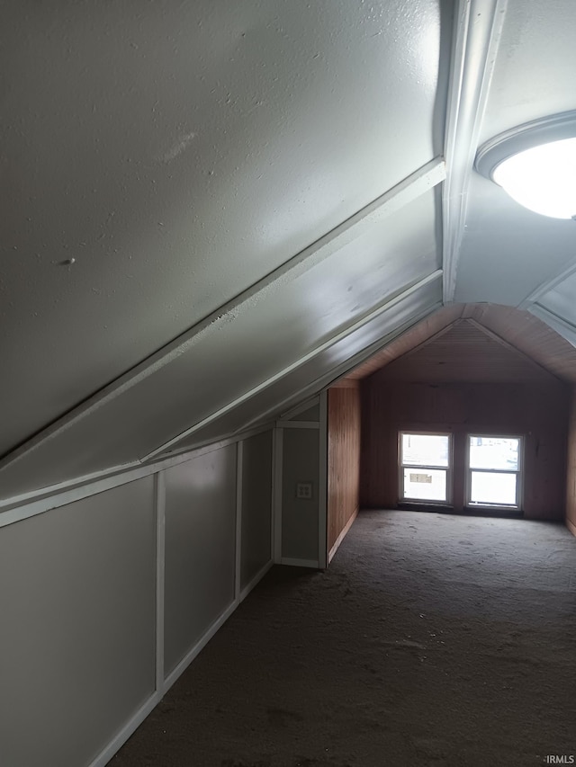 additional living space featuring carpet flooring and lofted ceiling