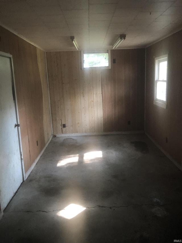 basement featuring wood walls