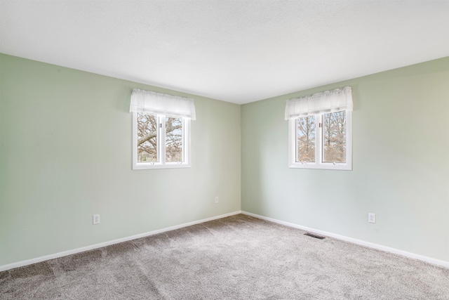 spare room featuring plenty of natural light and carpet floors