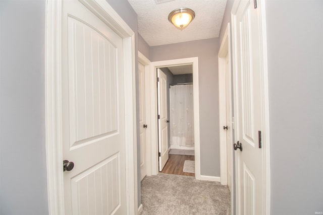 hall featuring light colored carpet and a textured ceiling