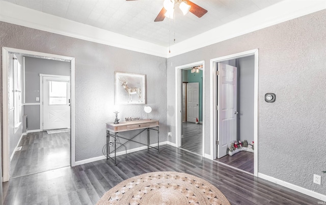 interior space featuring dark hardwood / wood-style flooring