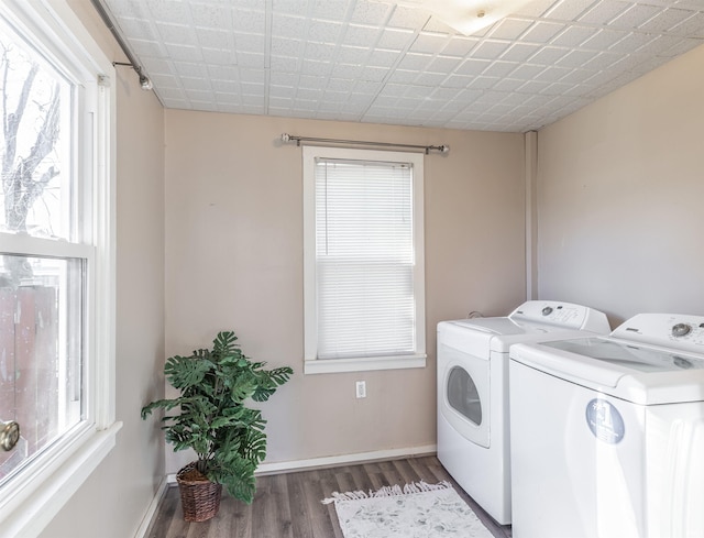 clothes washing area featuring dark wood-type flooring and washing machine and clothes dryer