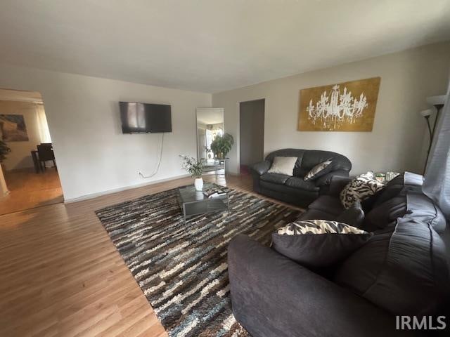 living room with wood-type flooring