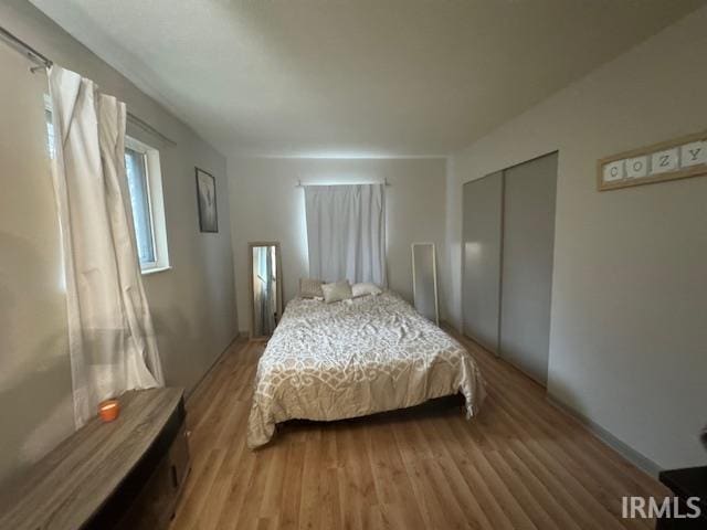 bedroom featuring a closet and wood-type flooring