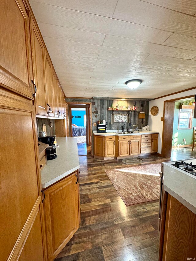 kitchen with kitchen peninsula and dark wood-type flooring