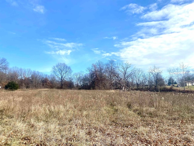 view of nature featuring a rural view