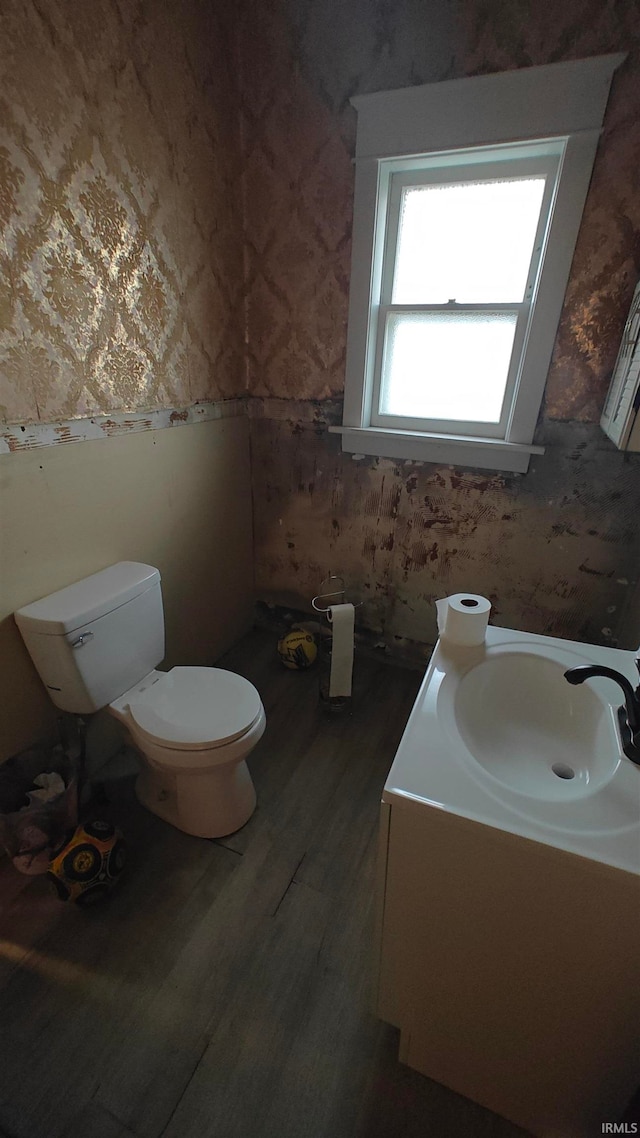 bathroom featuring toilet, vanity, and hardwood / wood-style flooring