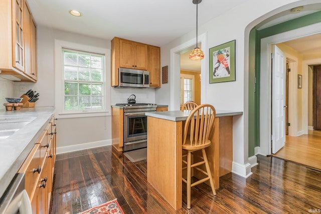 kitchen featuring dark hardwood / wood-style floors, stainless steel appliances, hanging light fixtures, and tasteful backsplash