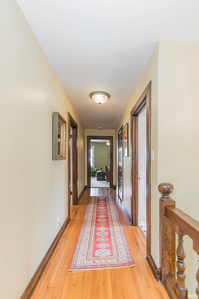 hallway with wood-type flooring