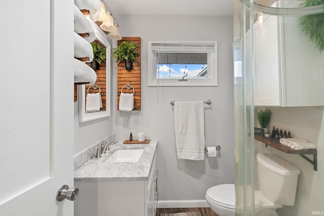 bathroom featuring vanity, toilet, and wood-type flooring