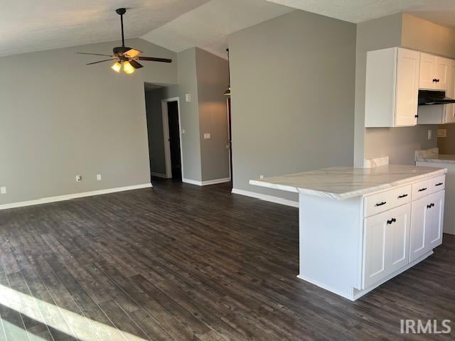 kitchen with white cabinets, dark hardwood / wood-style floors, and lofted ceiling