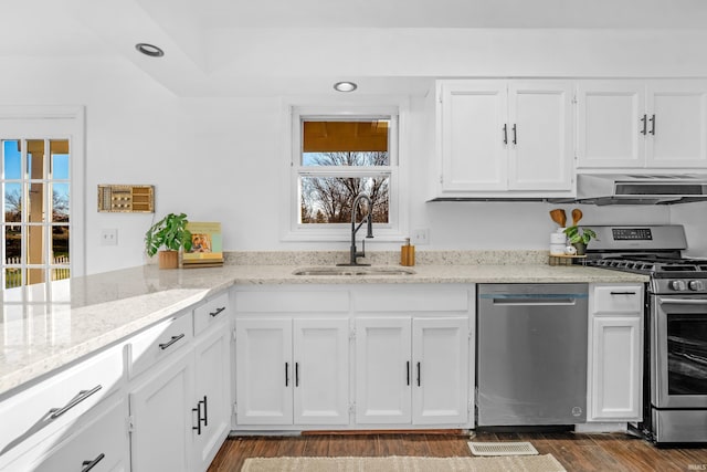 kitchen with a healthy amount of sunlight, range hood, sink, and appliances with stainless steel finishes