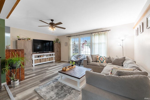 living room with ceiling fan and wood-type flooring