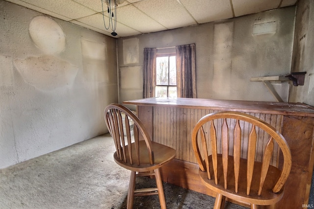 bar with a drop ceiling and carpet floors