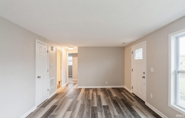 foyer with a textured ceiling, a healthy amount of sunlight, and dark hardwood / wood-style floors