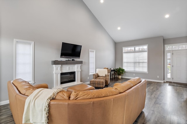 living room featuring dark hardwood / wood-style flooring and high vaulted ceiling