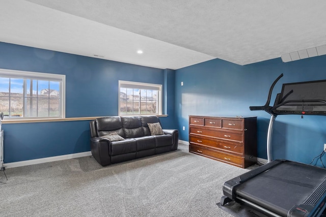 exercise room featuring carpet, a textured ceiling, and a wealth of natural light