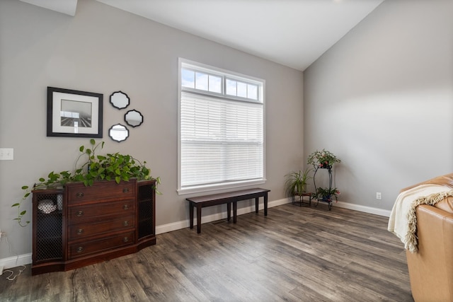 sitting room featuring vaulted ceiling and dark hardwood / wood-style floors