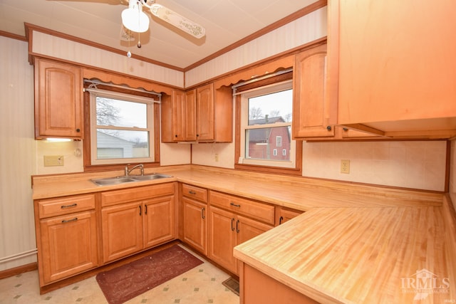 kitchen featuring wood counters, crown molding, a healthy amount of sunlight, and sink