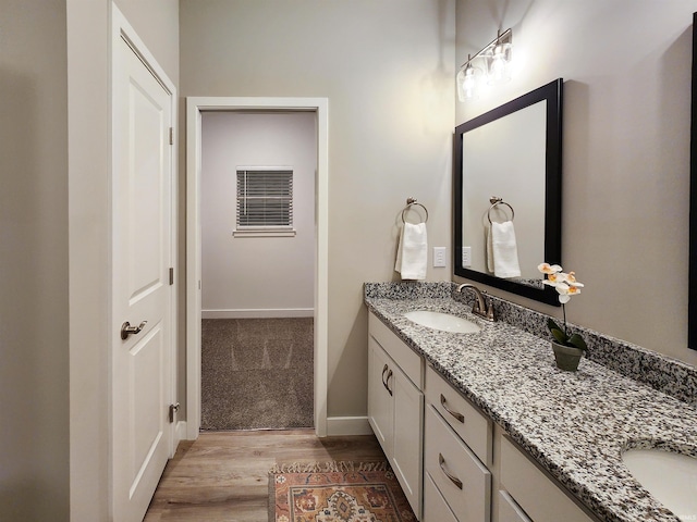 bathroom with vanity and wood-type flooring