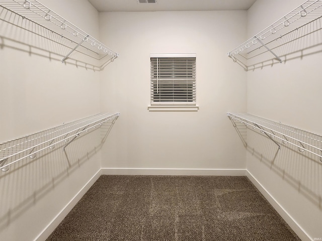 walk in closet with carpet flooring