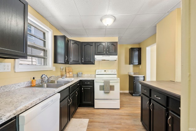 kitchen with sink, a drop ceiling, white appliances, and light hardwood / wood-style flooring