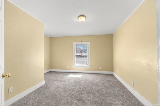 empty room with crown molding and carpet