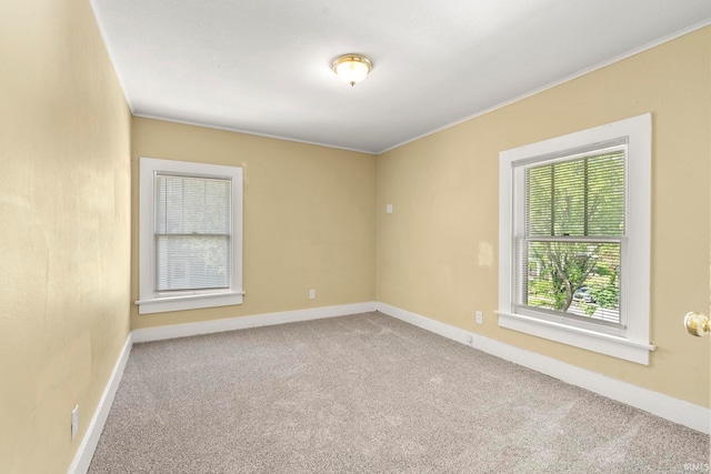 spare room featuring carpet flooring and crown molding