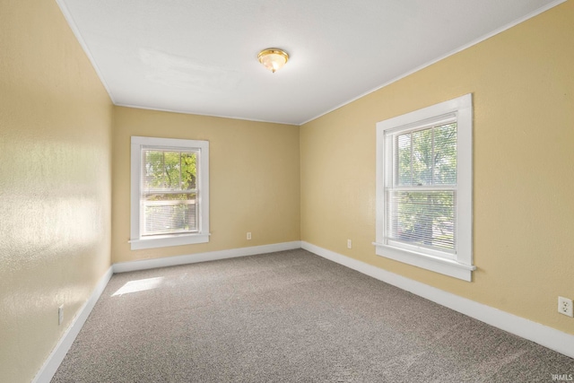 carpeted empty room featuring plenty of natural light and ornamental molding