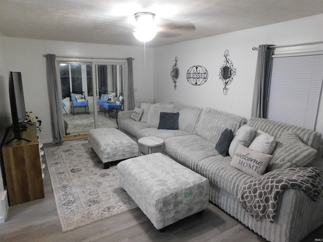 living room featuring a textured ceiling and hardwood / wood-style flooring