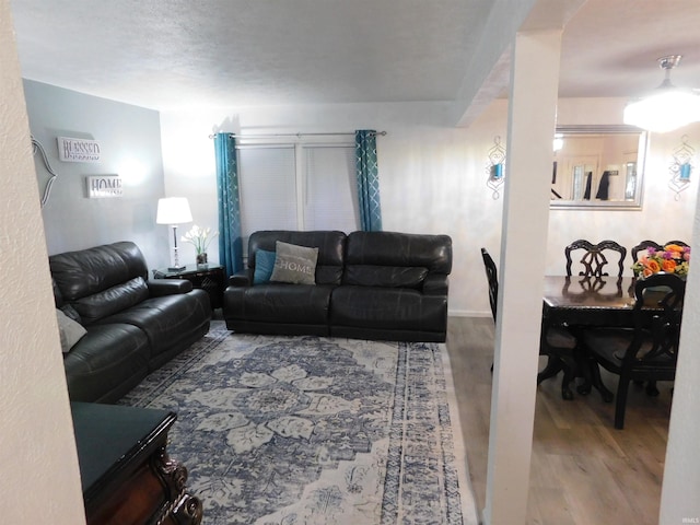 living room featuring hardwood / wood-style floors