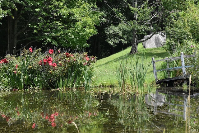 view of yard featuring a water view