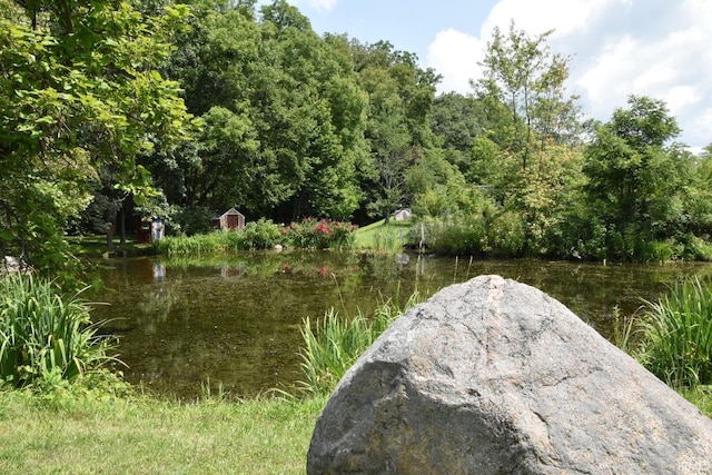 view of water feature